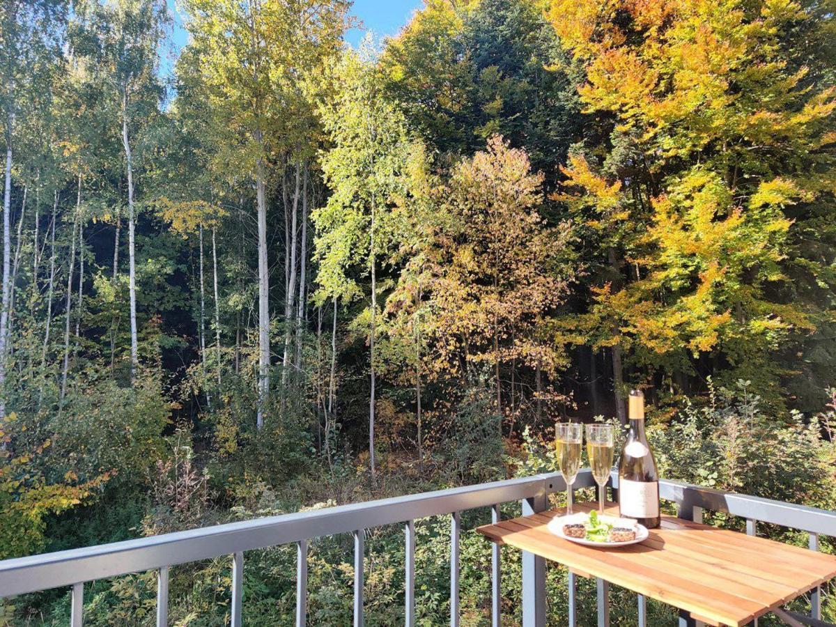 Apartment Grun Wald 玛丽亚温泉 外观 照片
